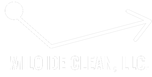 clean service